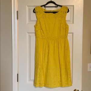 J. Crew lace dress